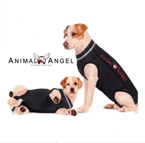 Body für hunde kastration - für,